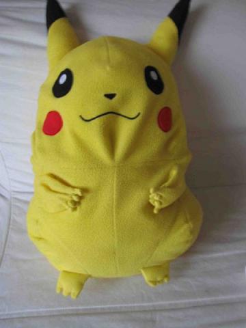 http://www.aukazoo.fr/wp-content/uploads/aukazoo/pikachu5.jpg